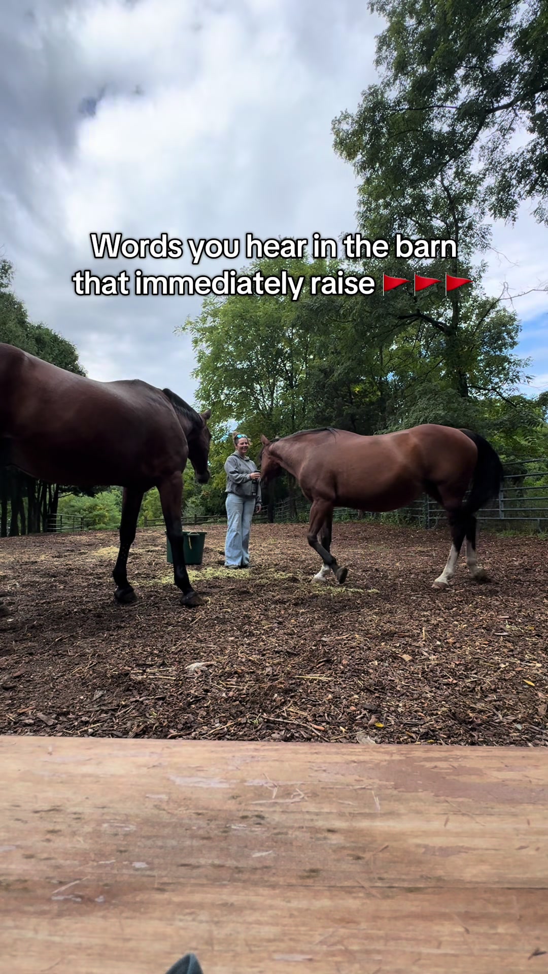 @Equi Evolution