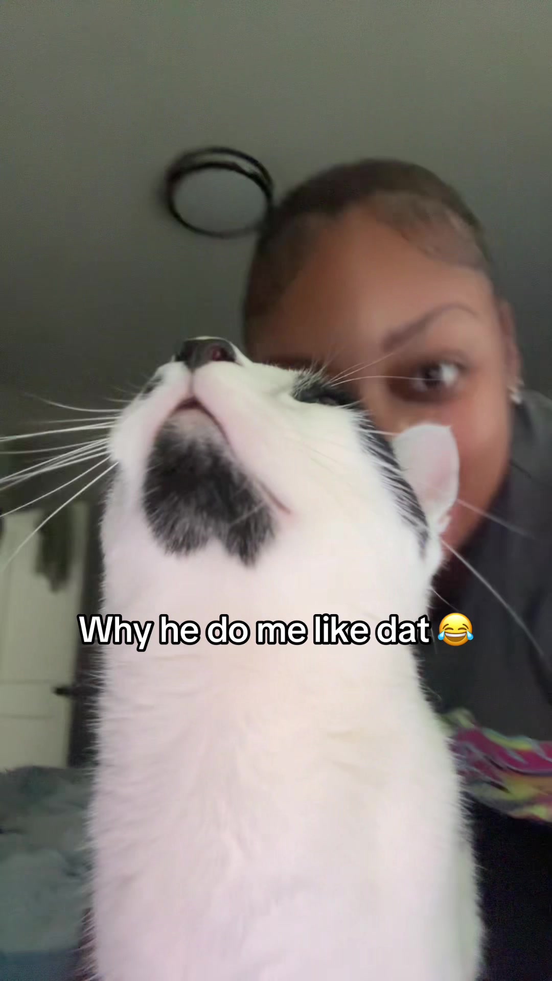 @kurlyheadkura