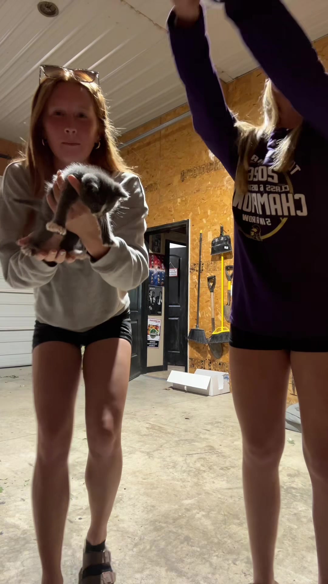 @🐆🐆🐆