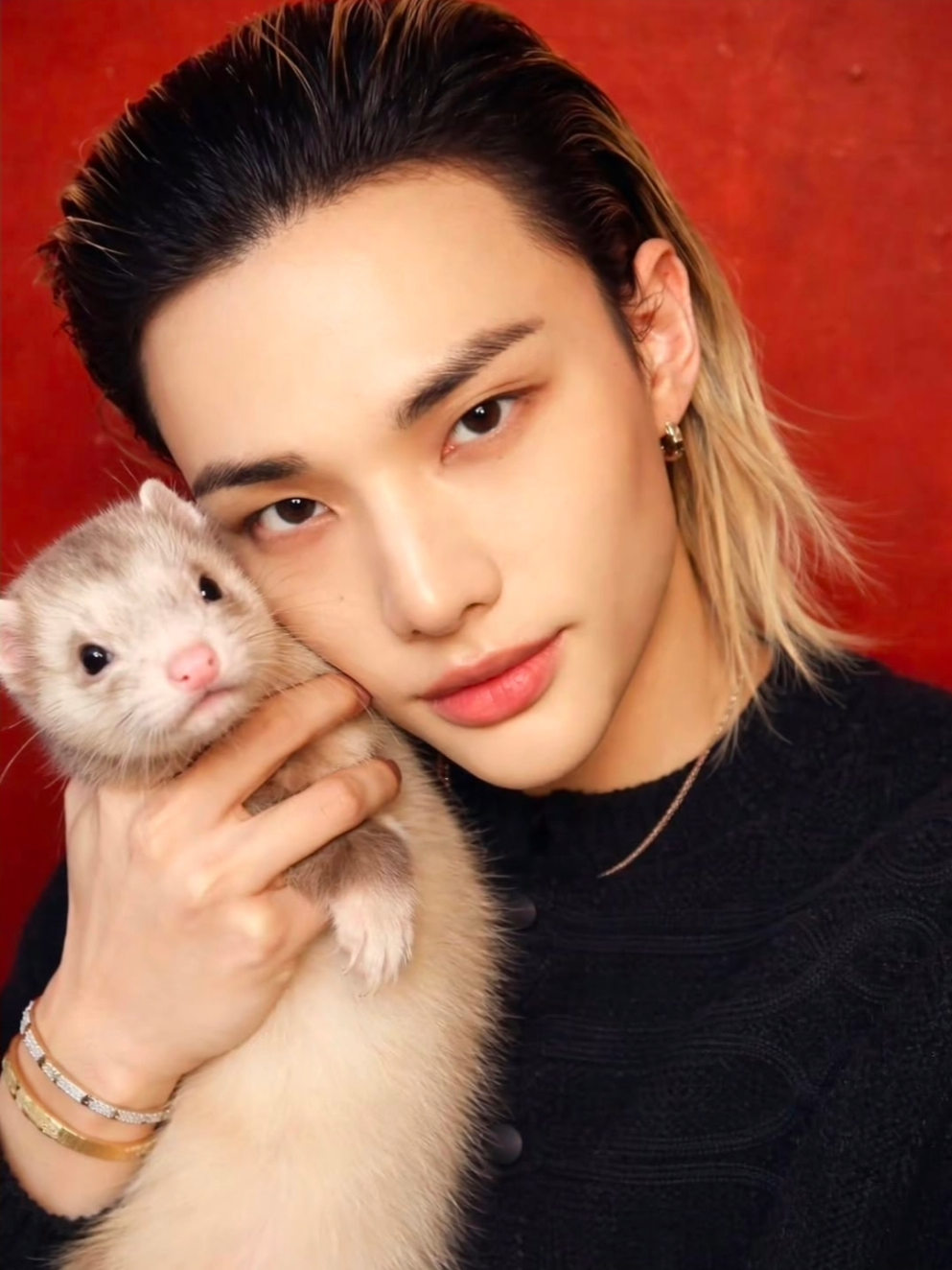 @Chanlix-Seungminnie🐺🐥🥟