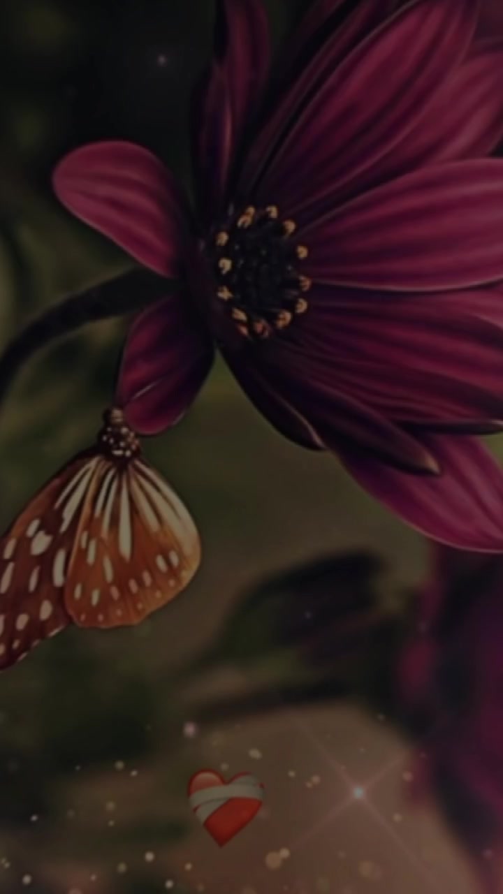 @🦋أثر الفراشة🦋masa