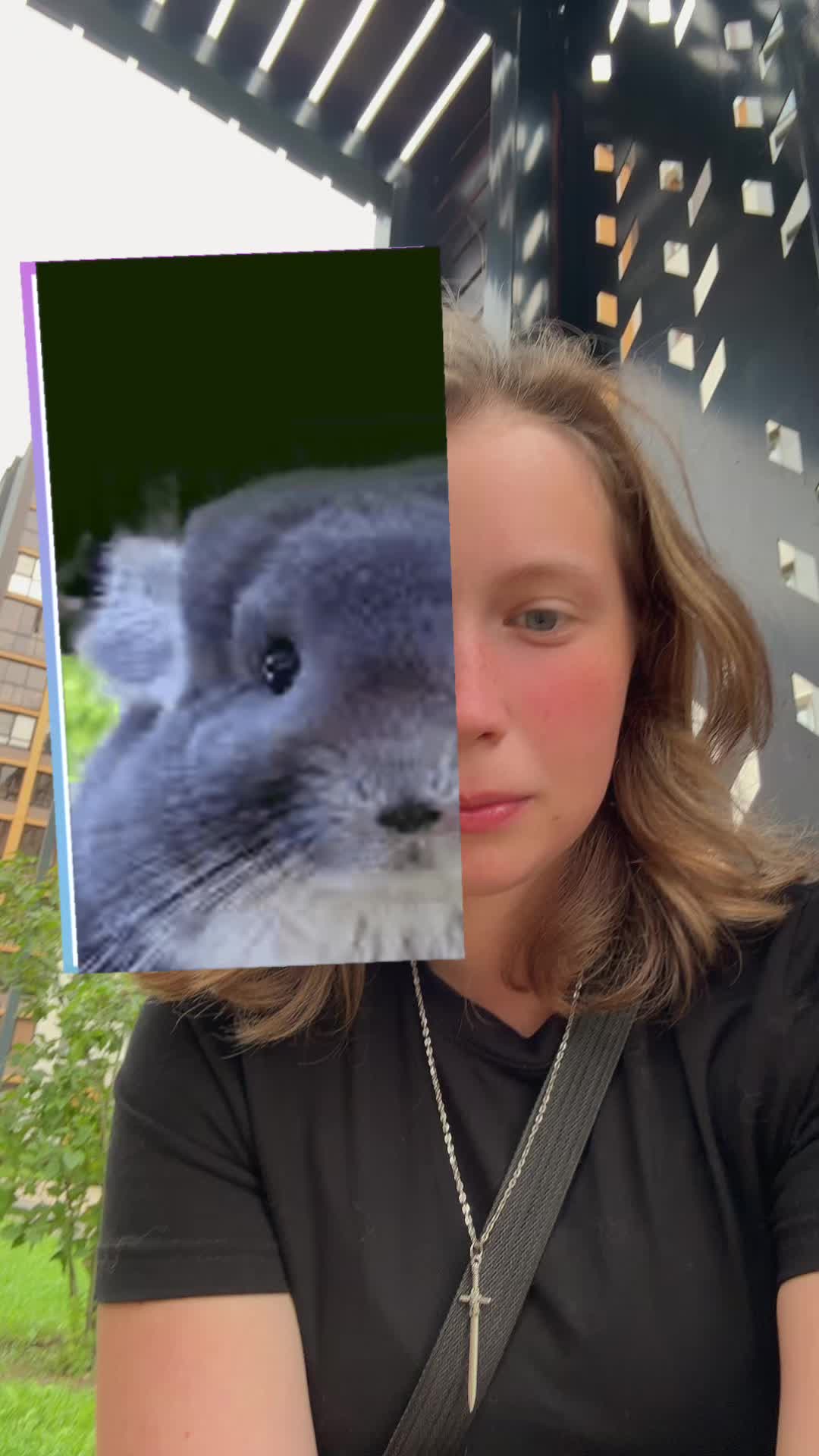 @exsluwier