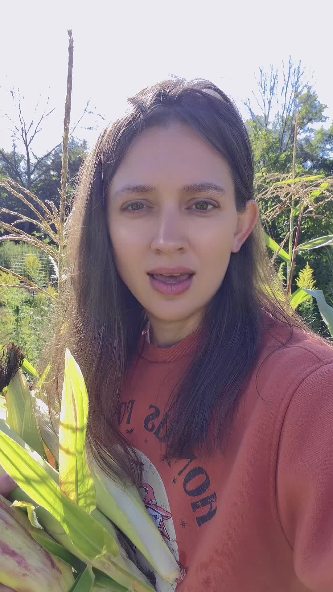 @LibbyLouWho
