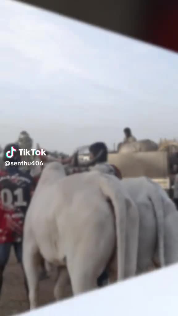 @Kiruba Kiruba