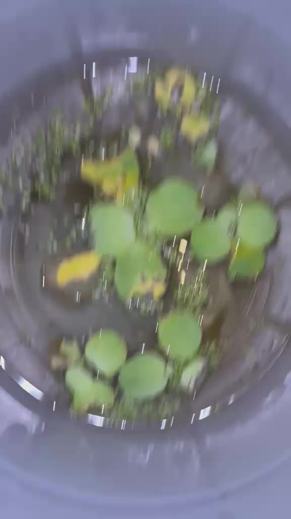 @YAMAHAbettao2k