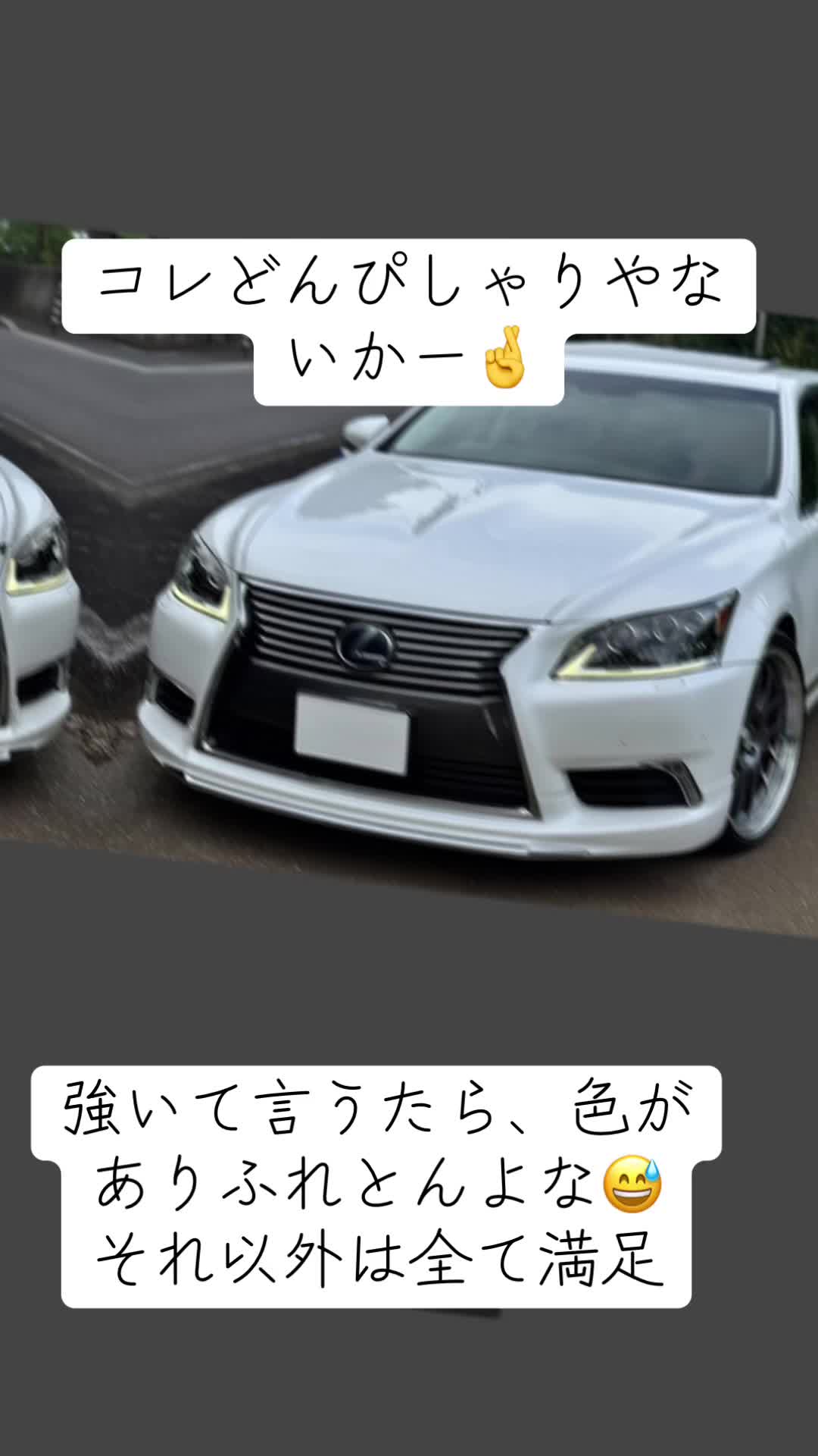 @団長だけどなに〜?👉👈🐕 ͗ ͗ ͗