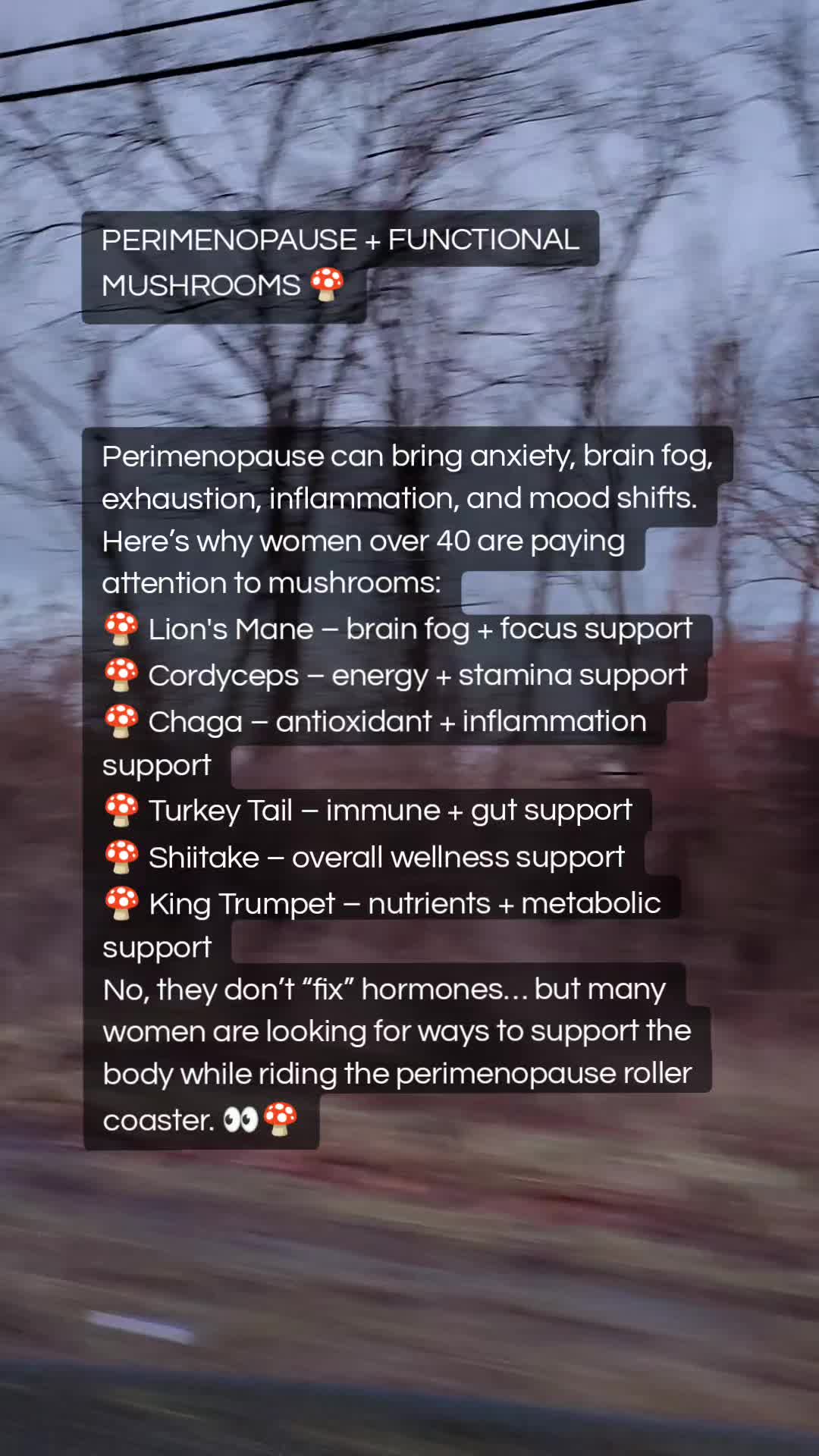 @🤍HormoneChaos-toCalm-Momma🩵