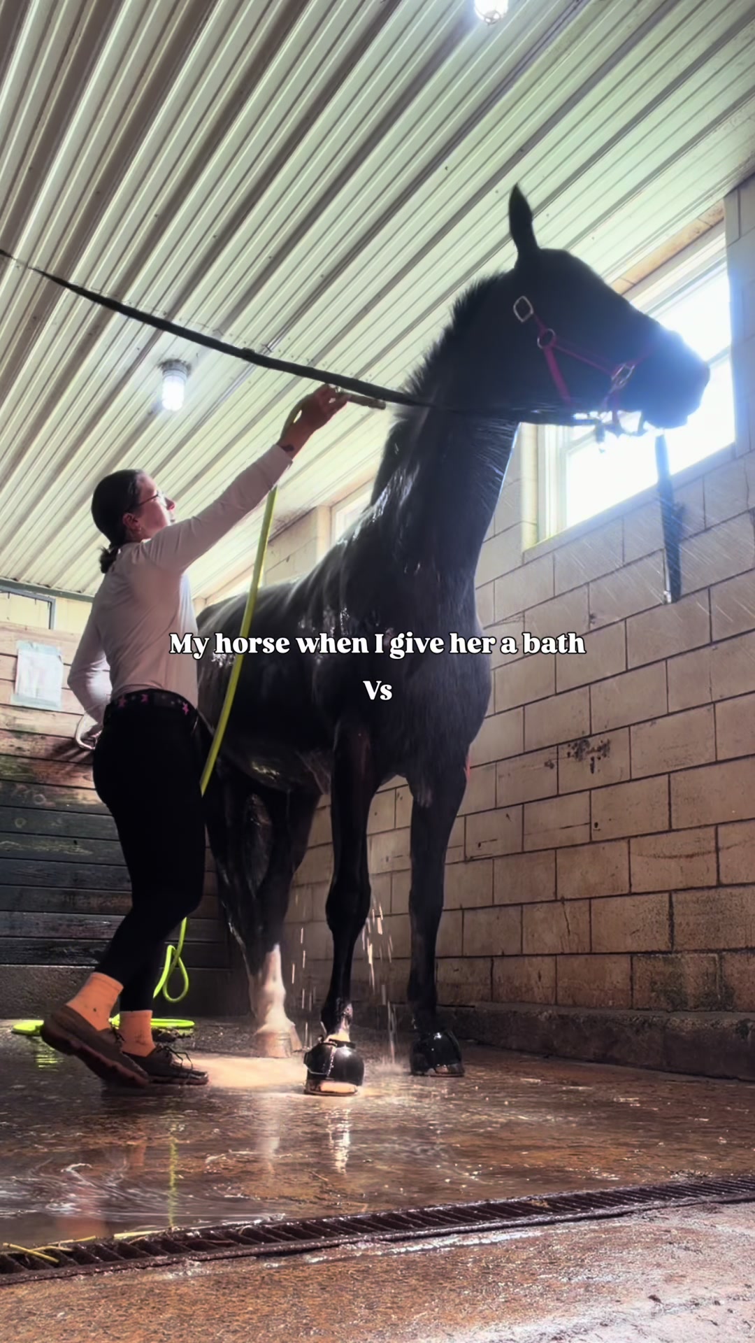 @Maria💜| Equestrian🦄| Mom💜