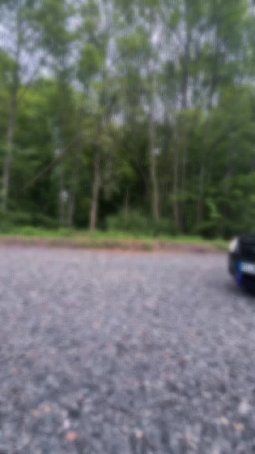 @black_purple_corsa