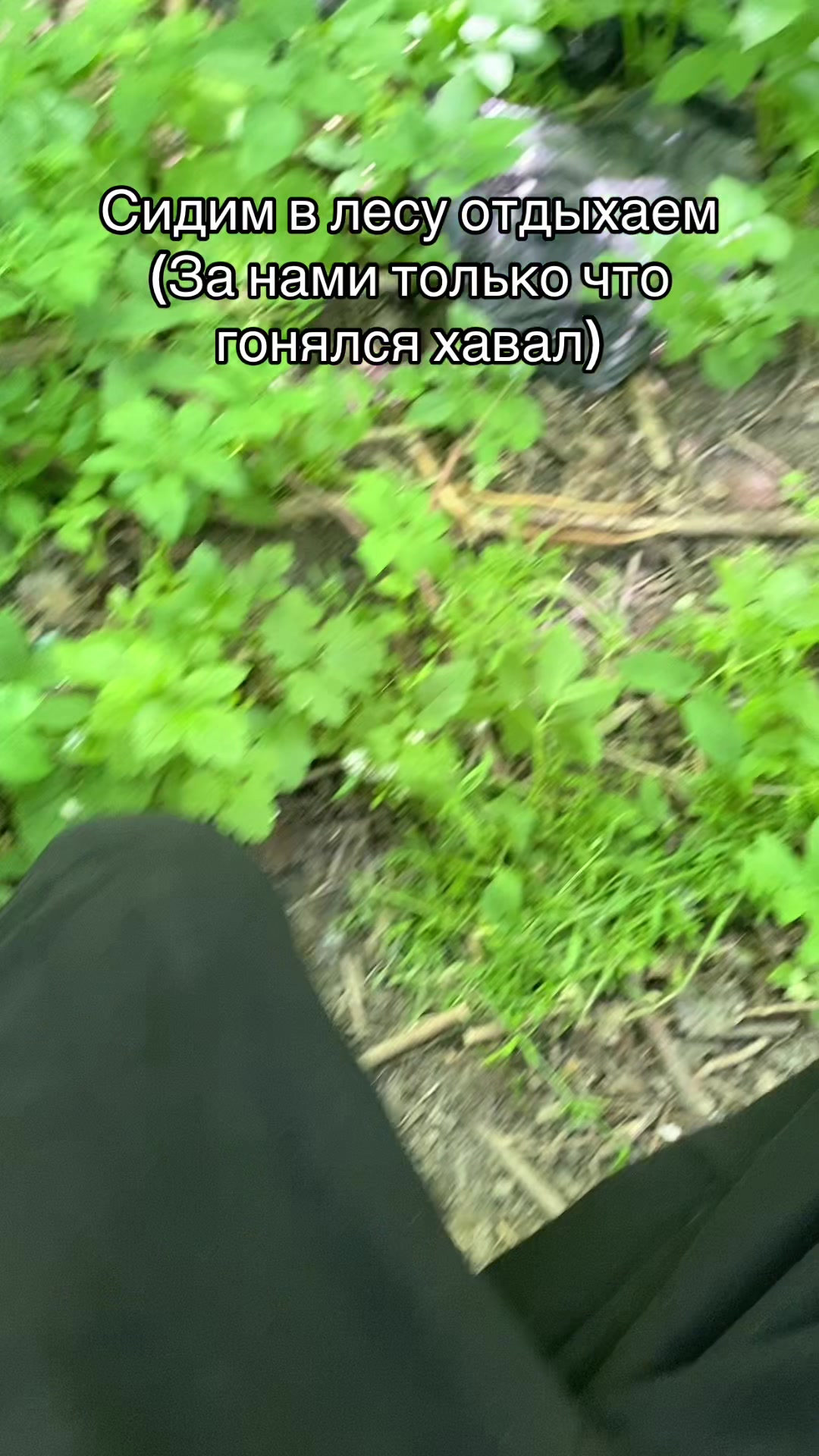 @Альфочка