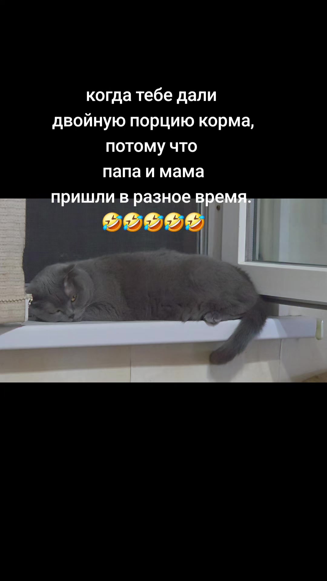 @krasavchik_andrey