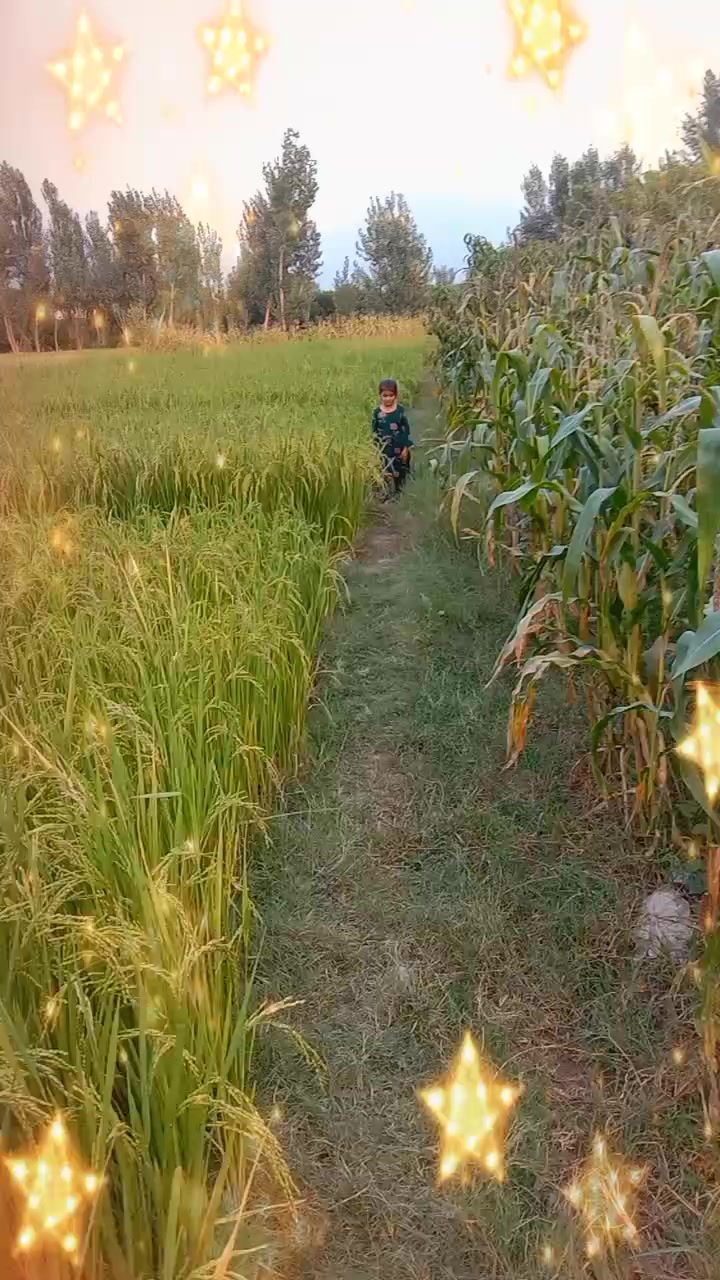 @hussainali 6001