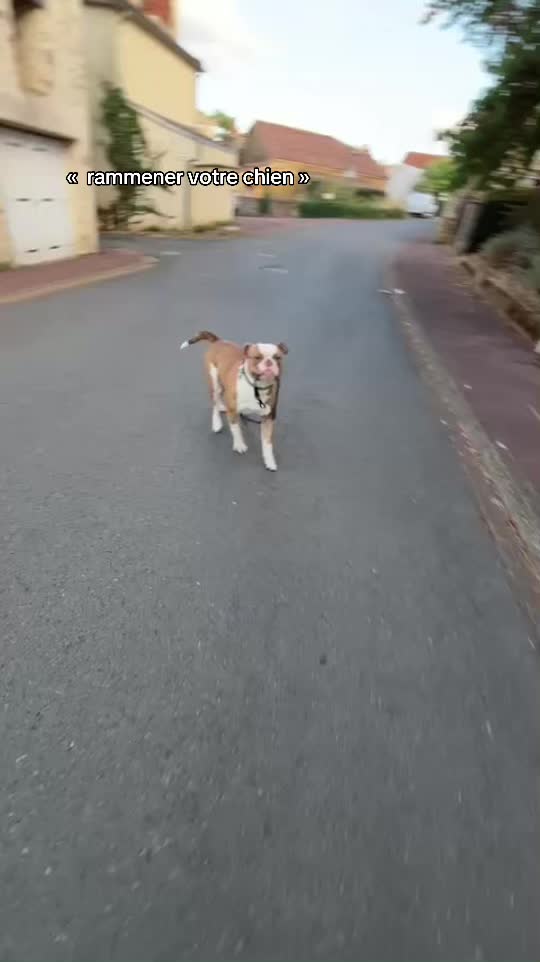 @๐๐๐๐๐๐ต๐น๐ช๐ธ
