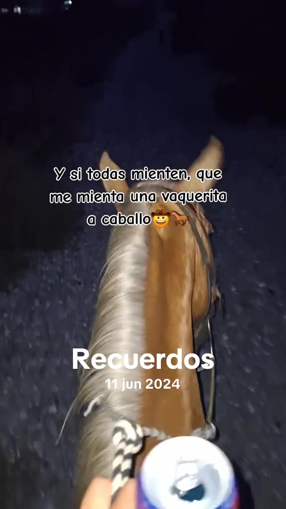 @El Wero García🤠🇲🇽