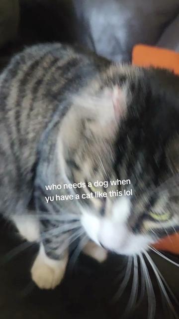 @BreAnna