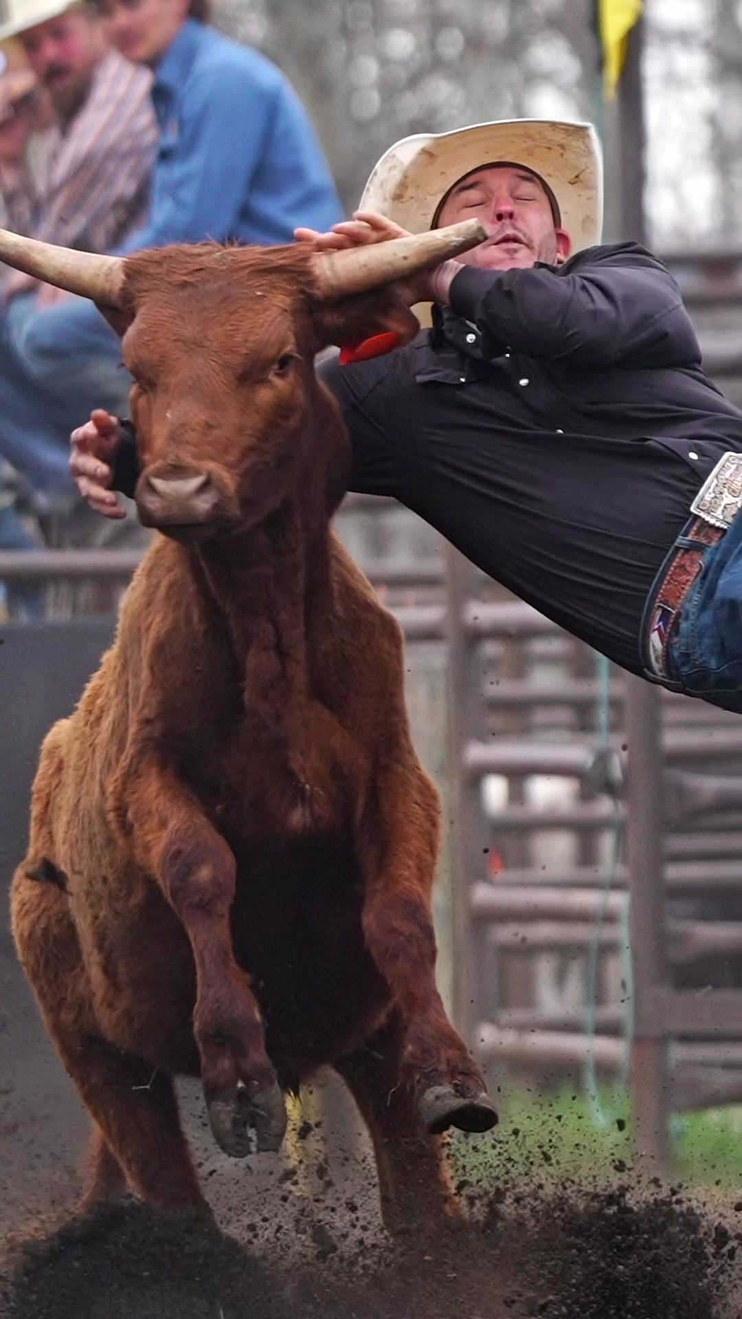 @Hanginghorses