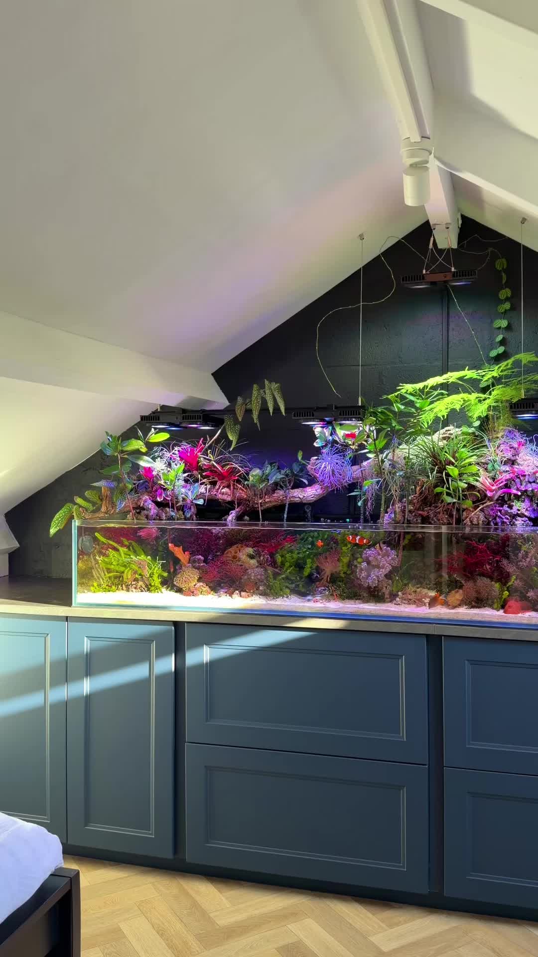 @Danny’s Aquariums
