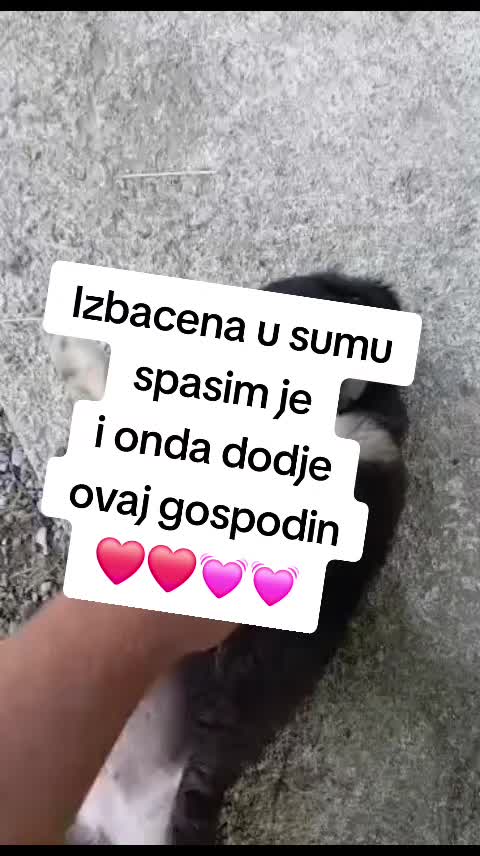 @Thedoogfather