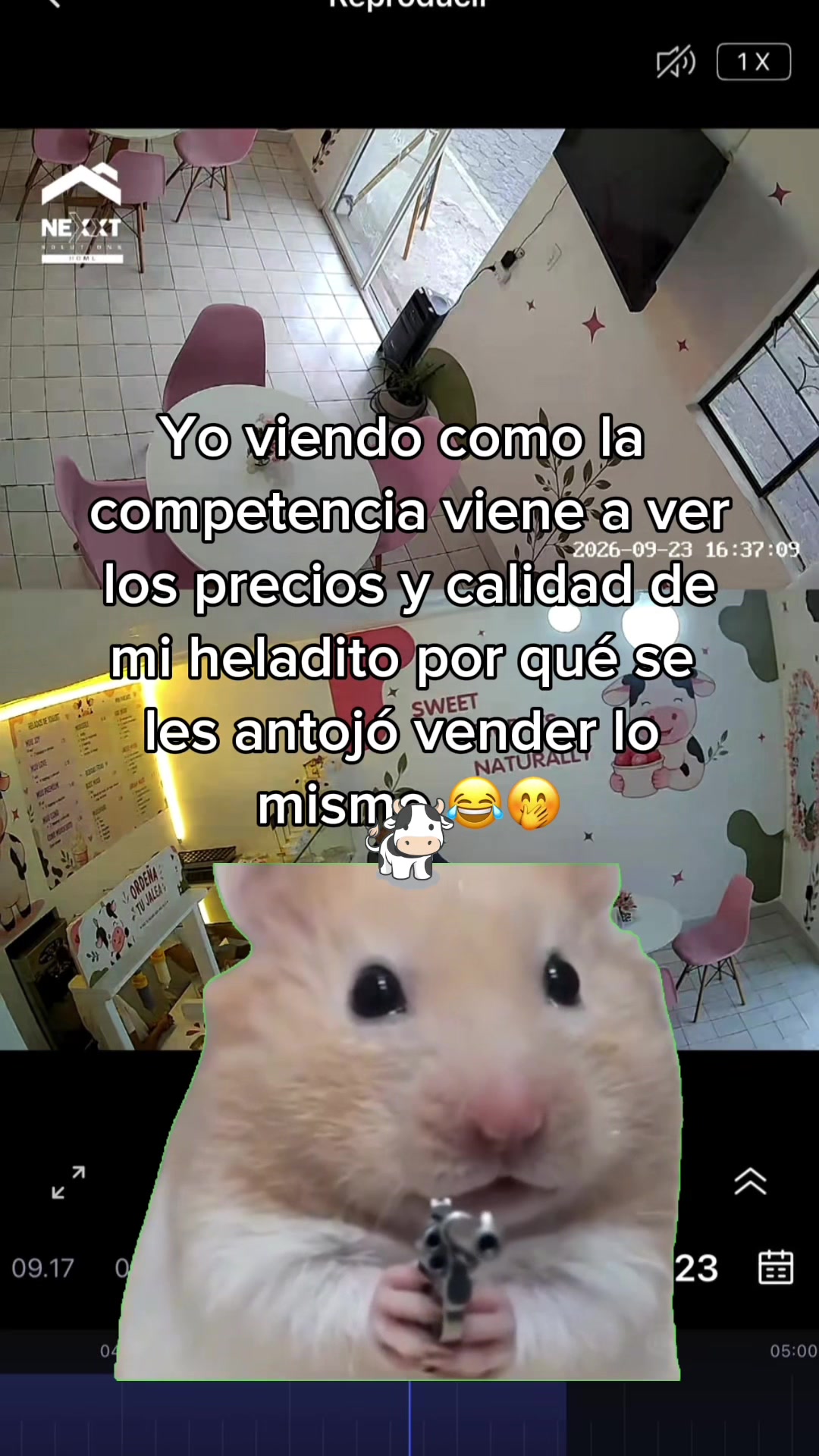 @muushka_FrozenYogurt