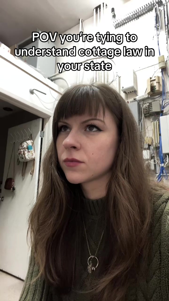 @coletteyspaghetti8