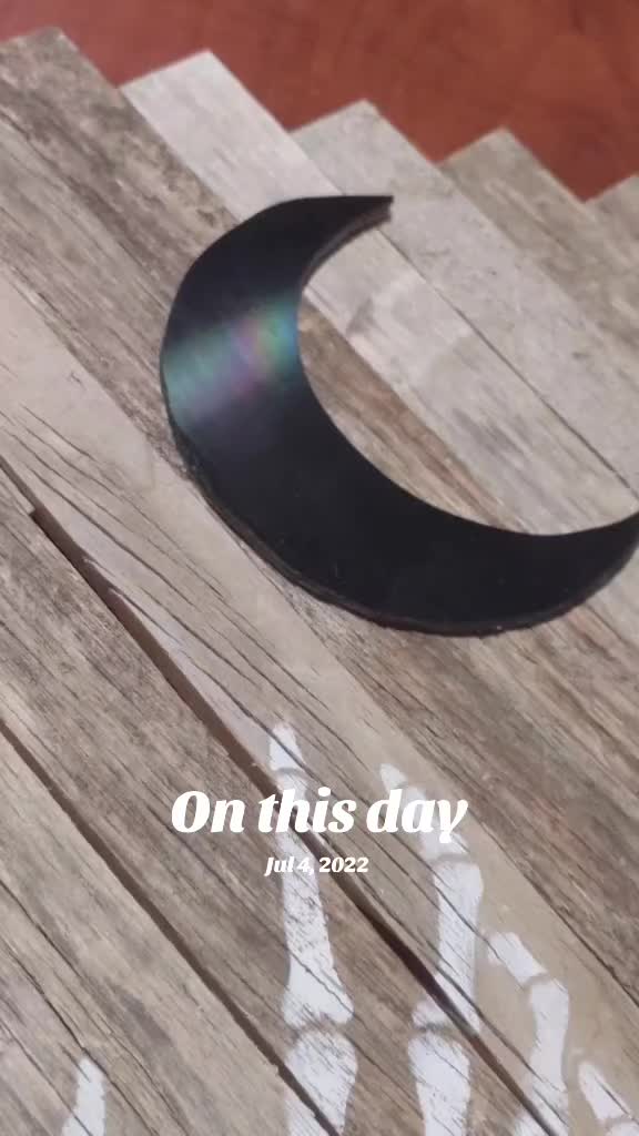 @TheMoonlightFox