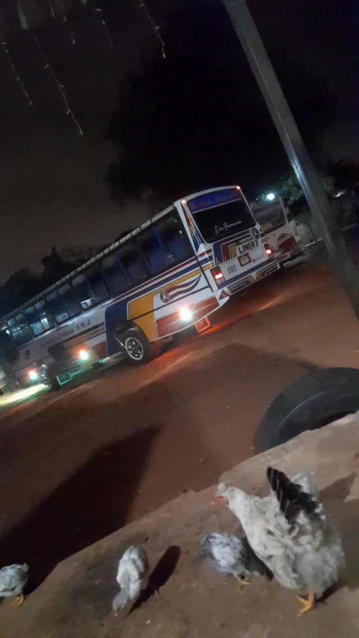 @Tu Guardita Alex 🇳🇱🇳🇱🚍