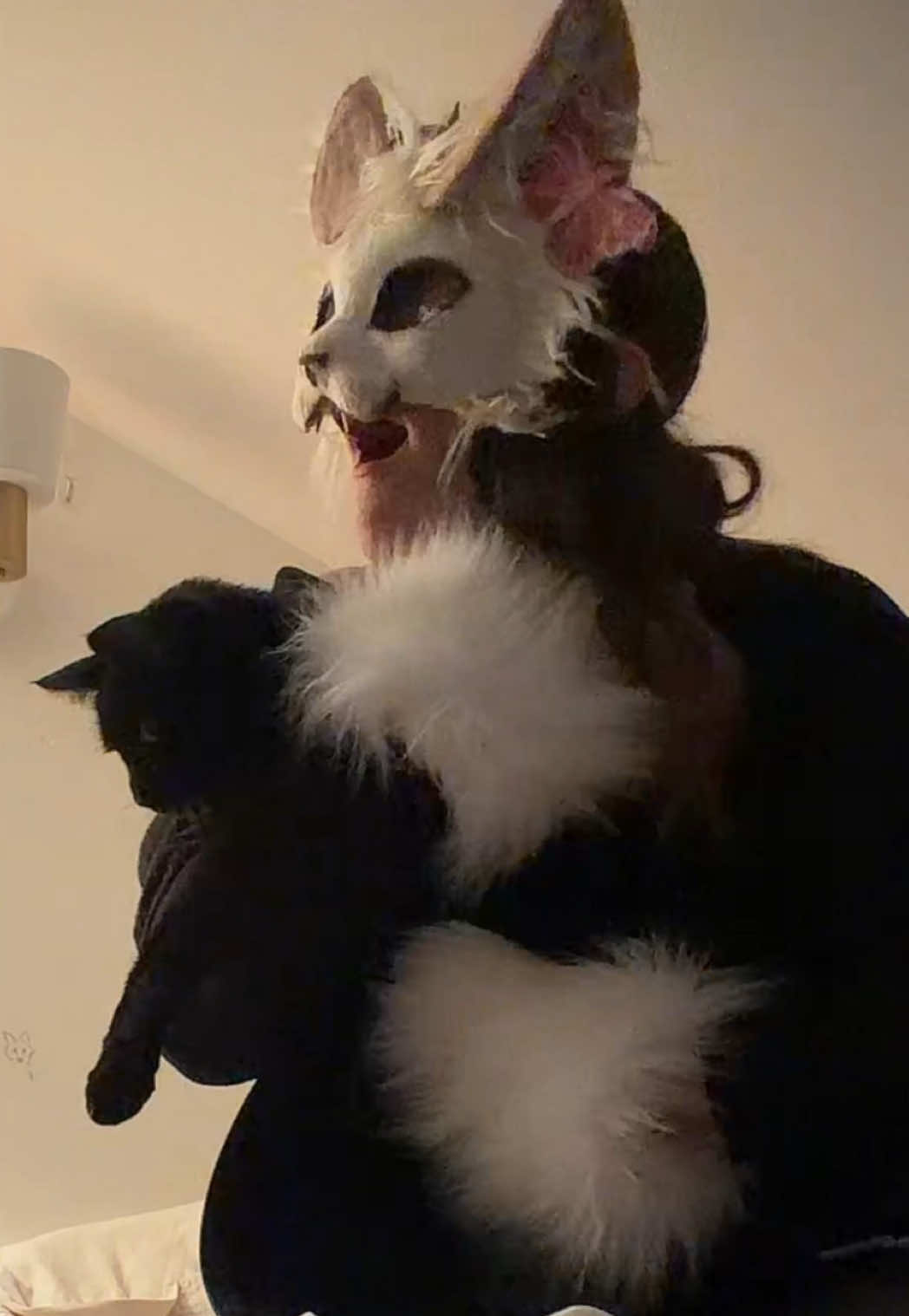 @FoxTrot-X3