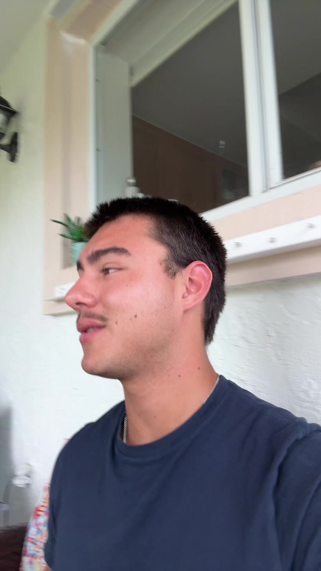 @mendiolaenusa