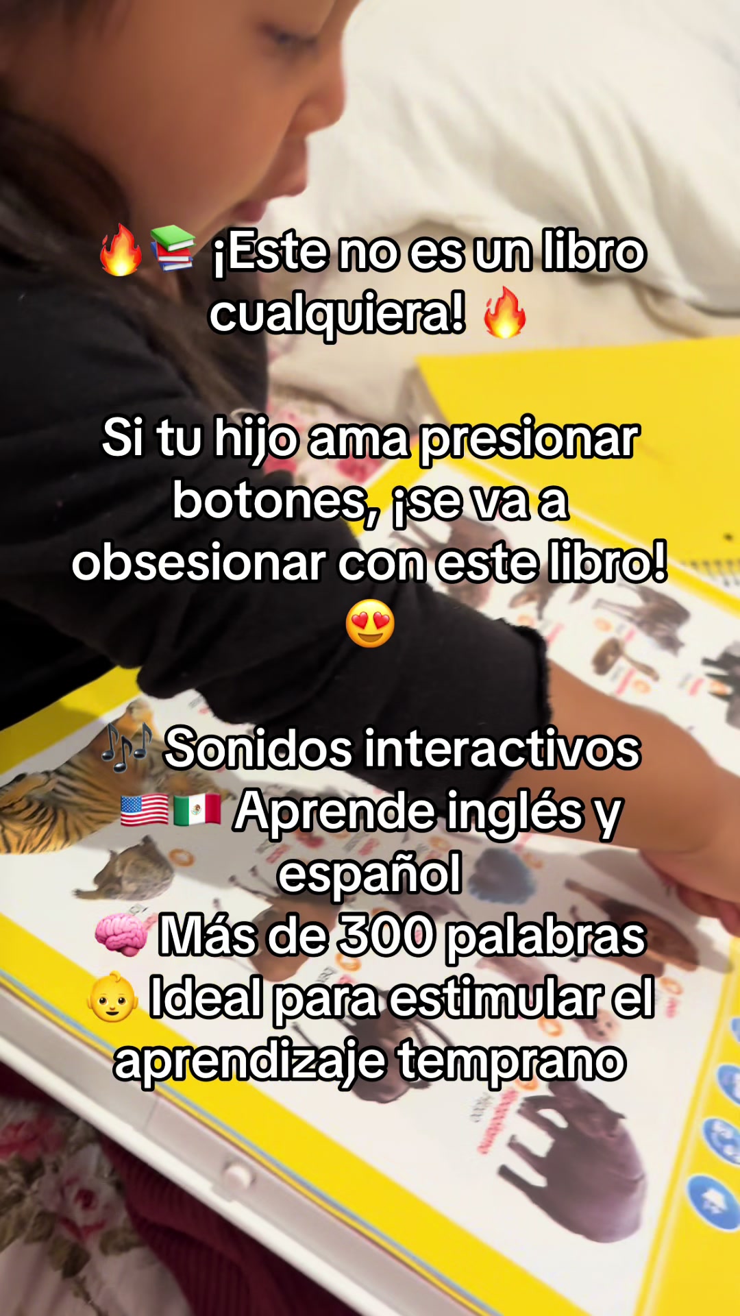 @🌸 Chuy🌸