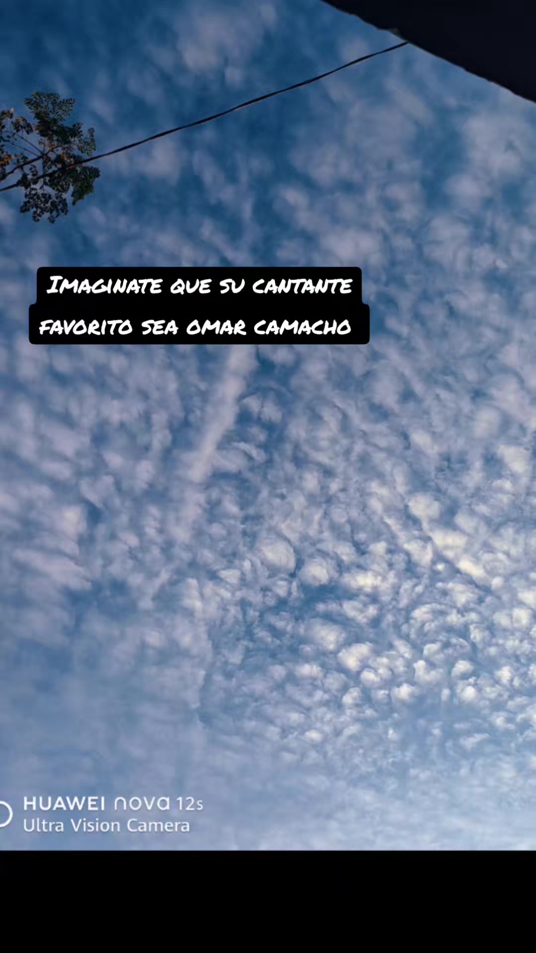 @💞 Fan de Omar Camacho