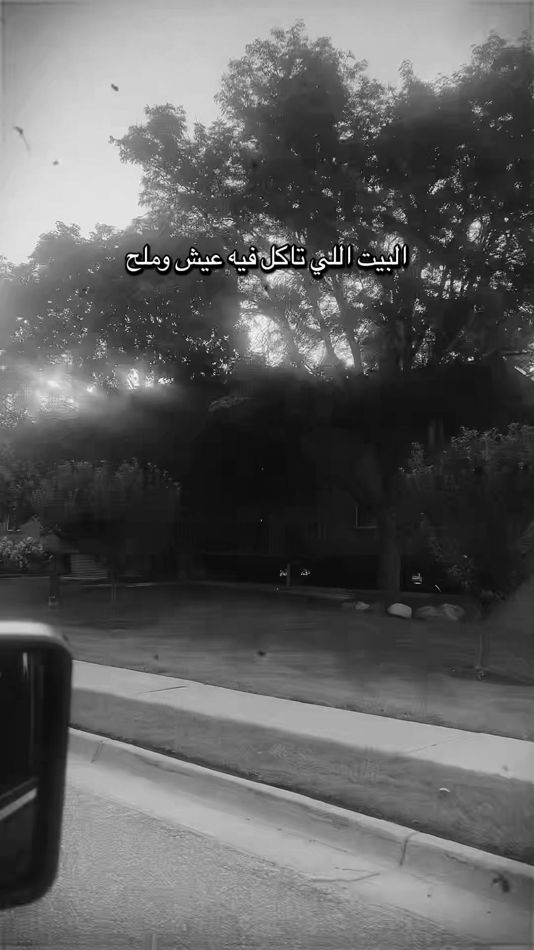 @Banoo✨🪻