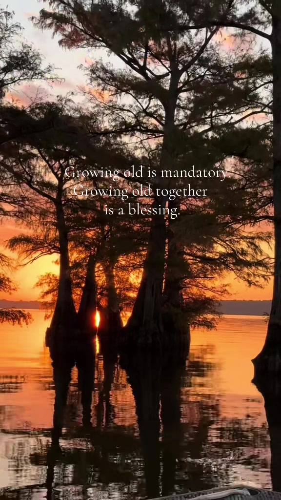@Caddo Lake FirstCastCabin