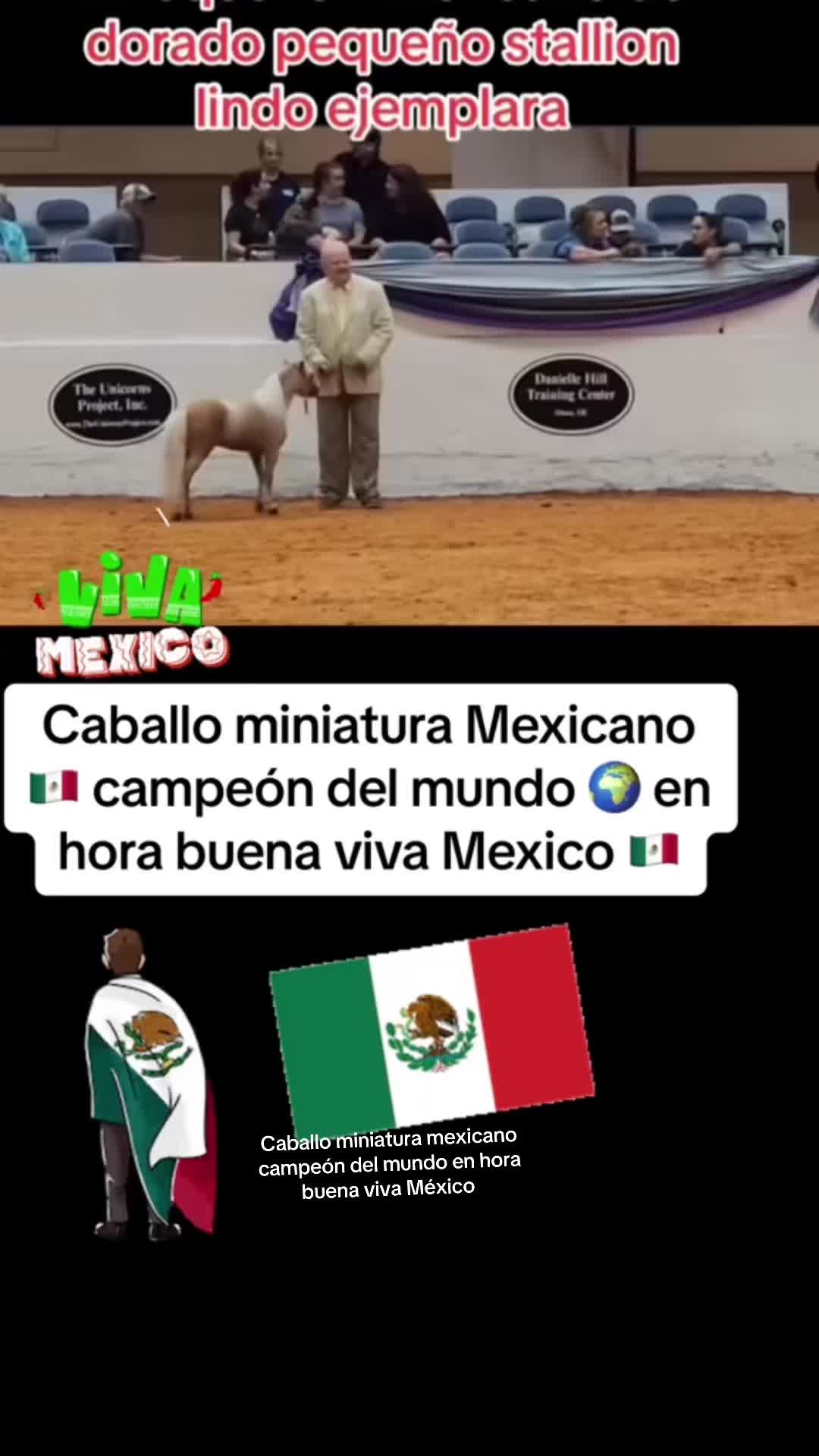 @Elgatoparado-05