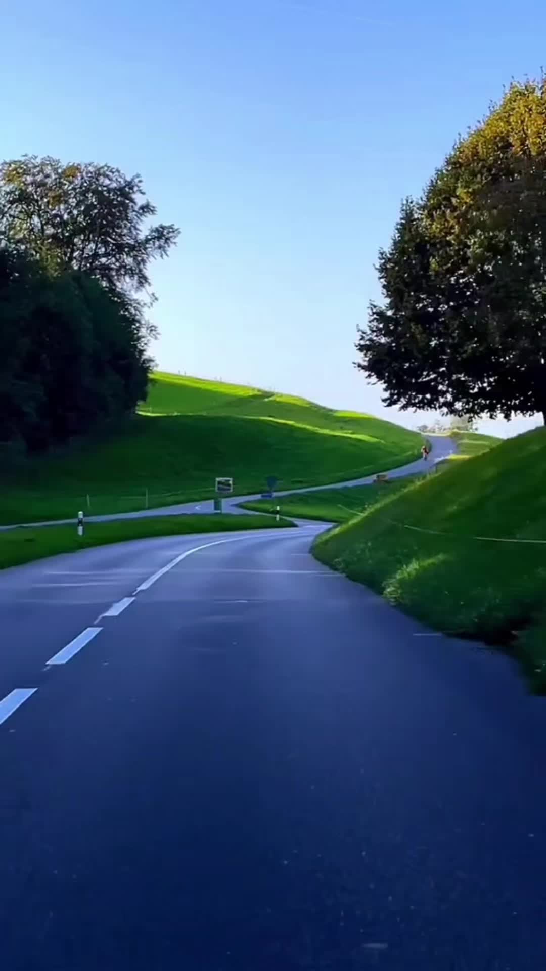 @alina