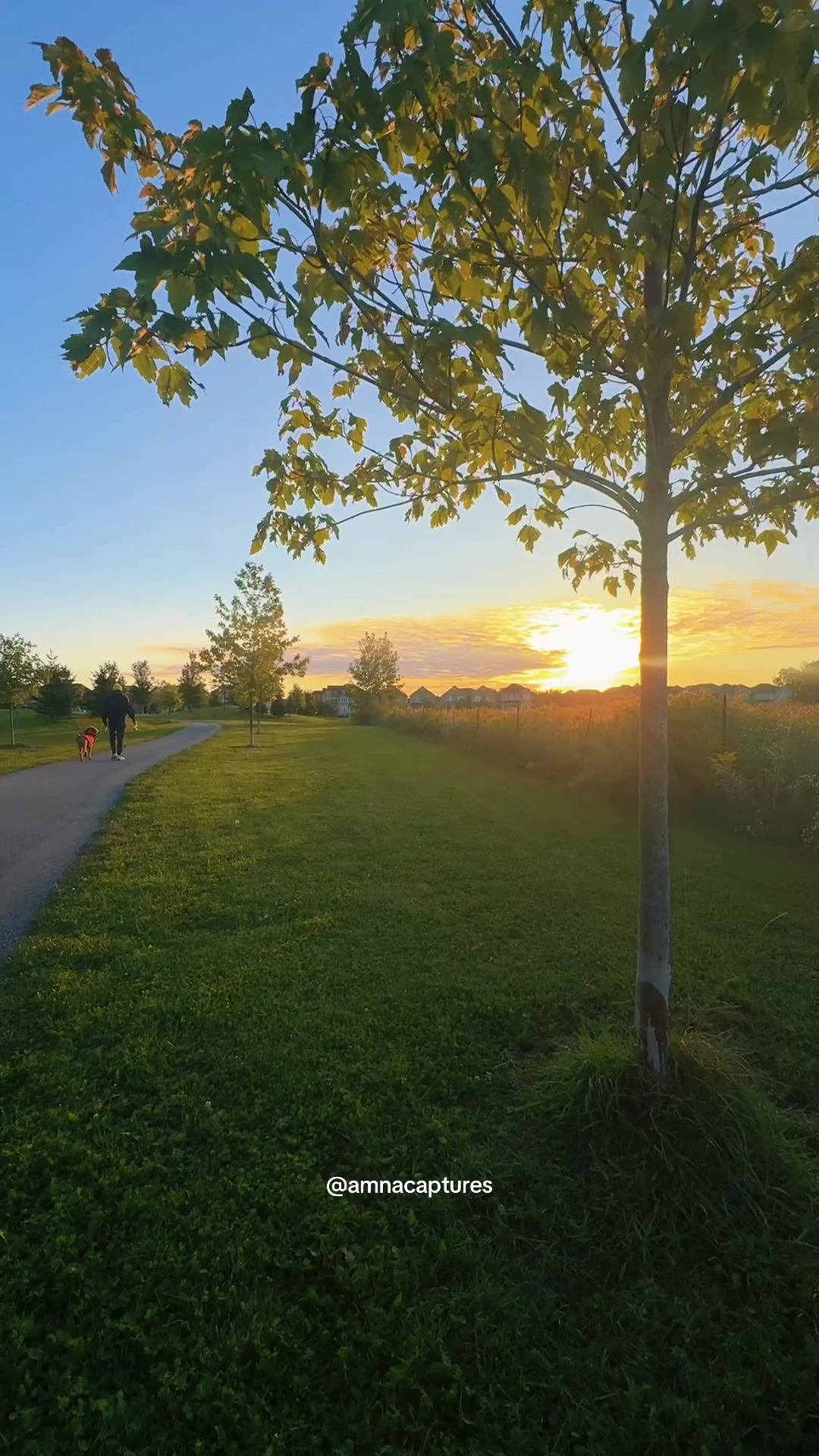 @Nature lover 🇨🇦