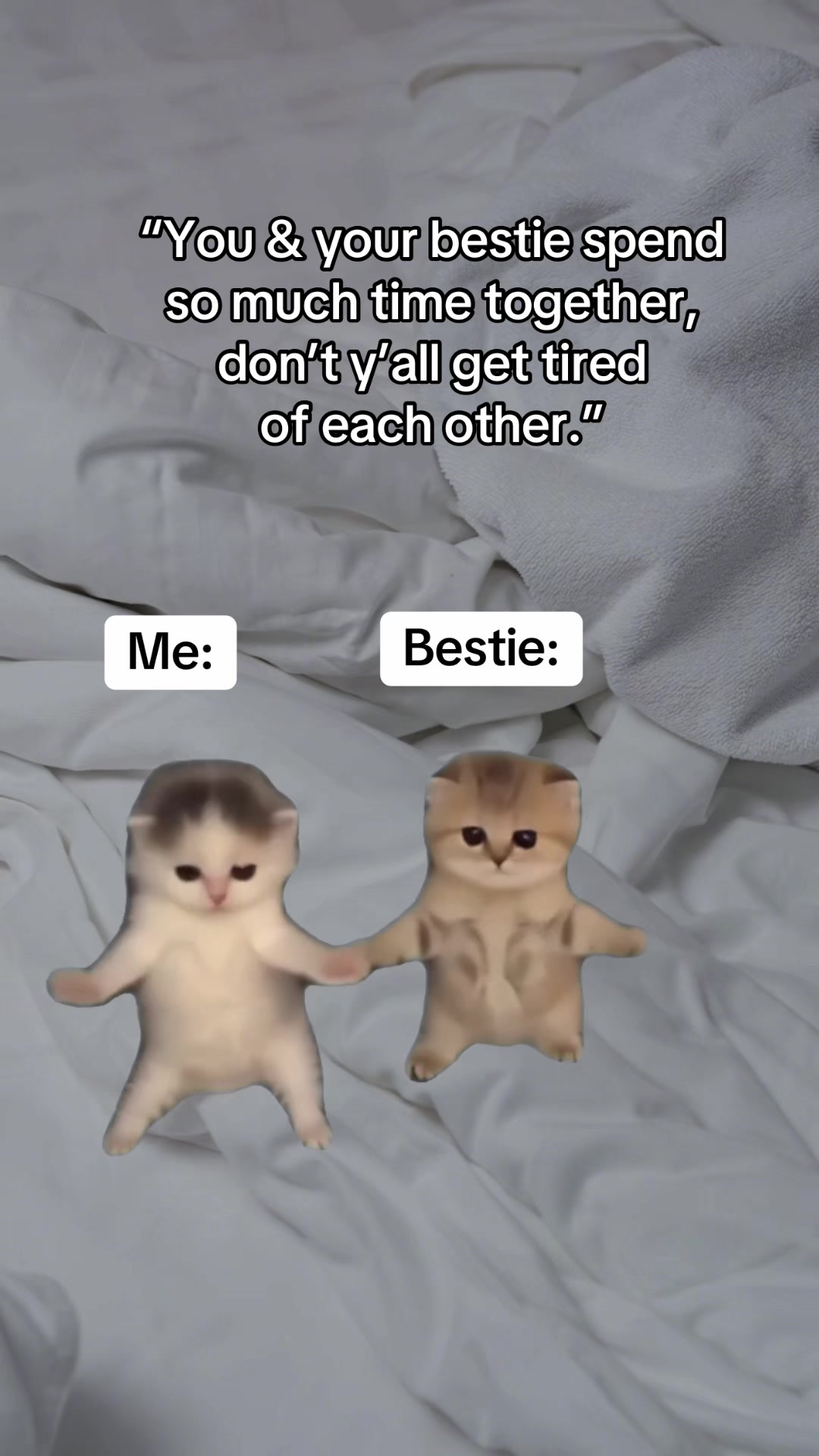 @Stef 💜
