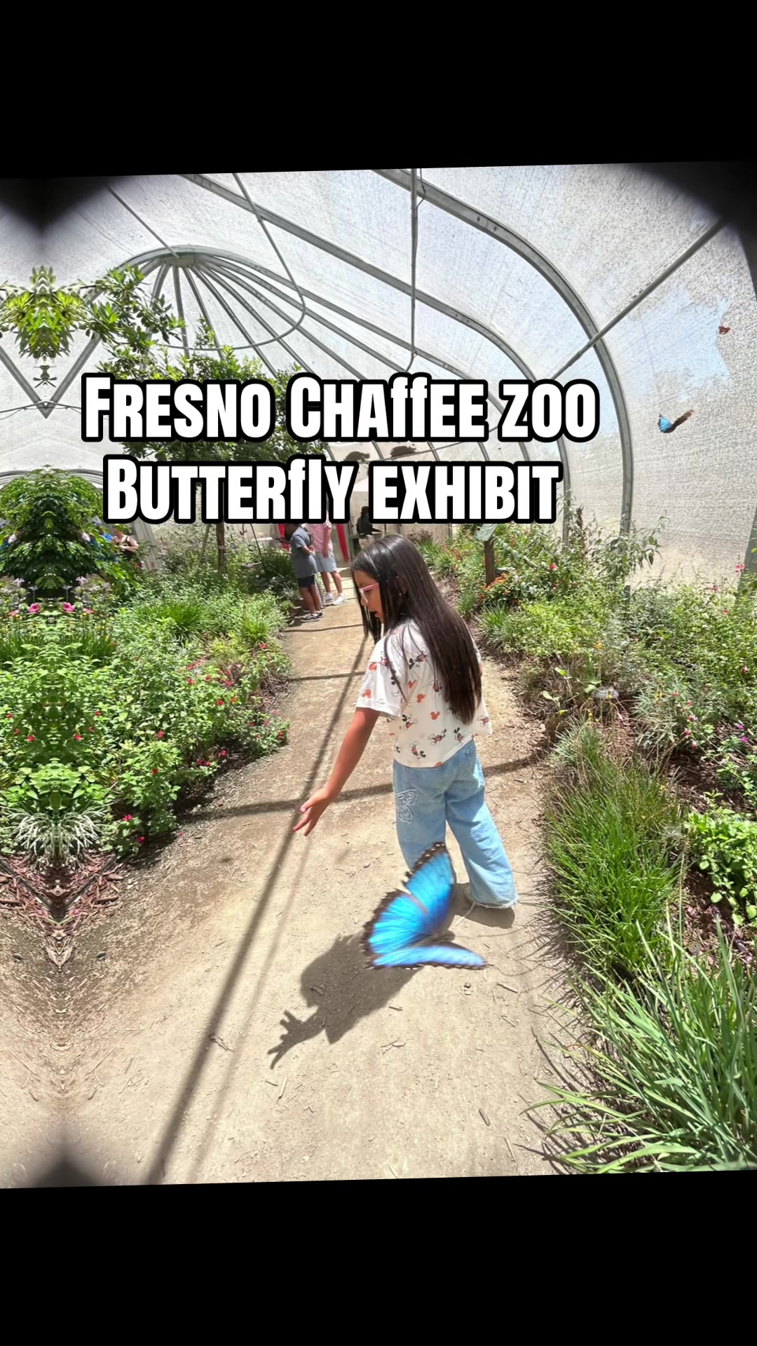 @Heavenlyangele