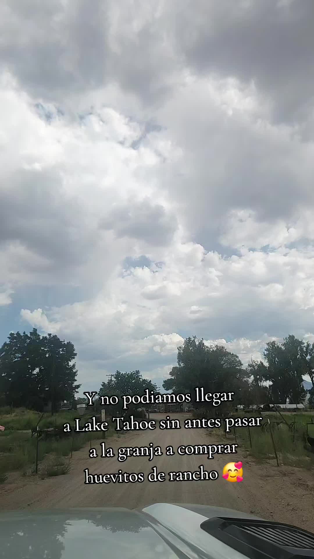 @Cecilia Machado