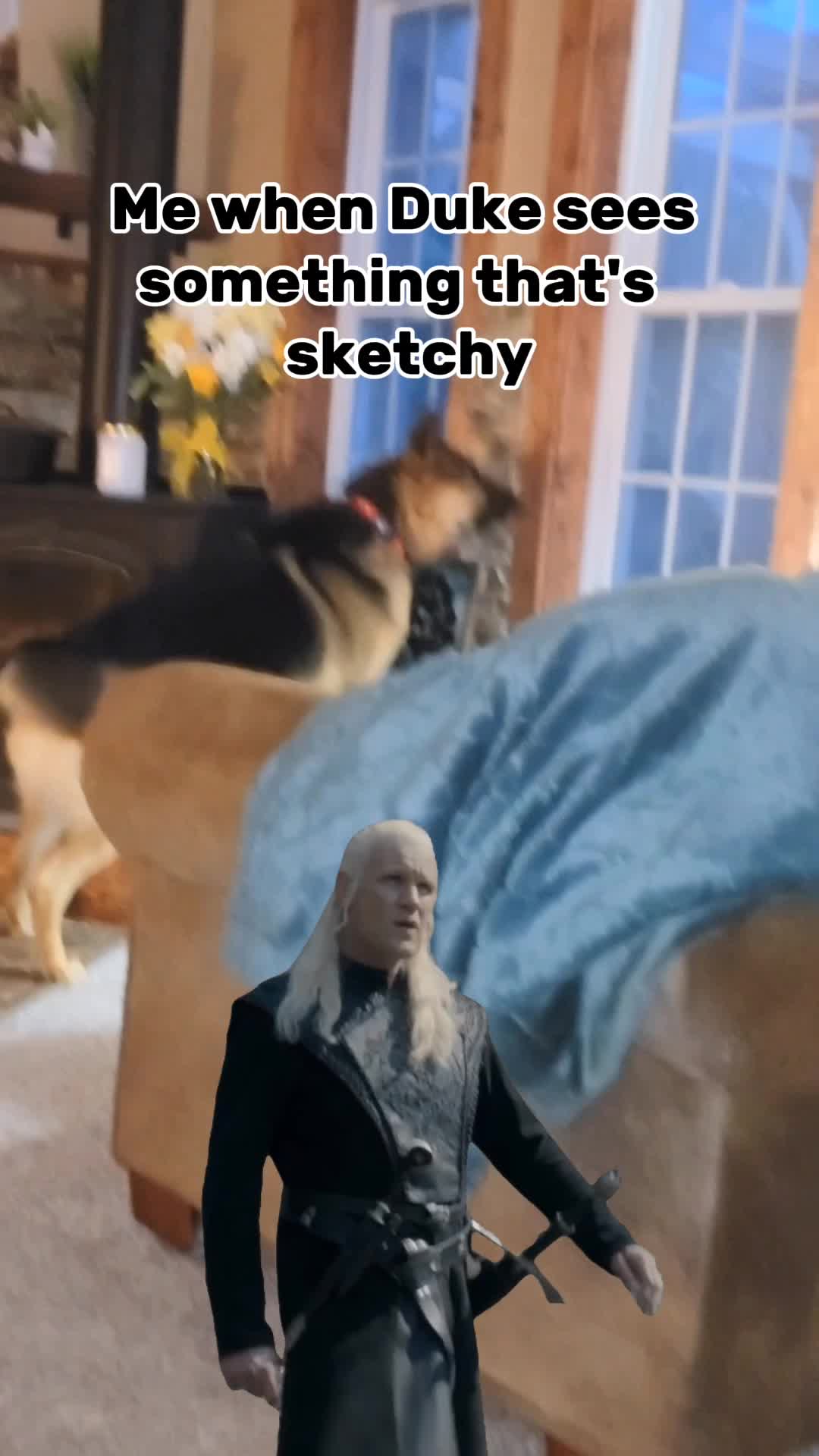 @D&D❌️ and Duke