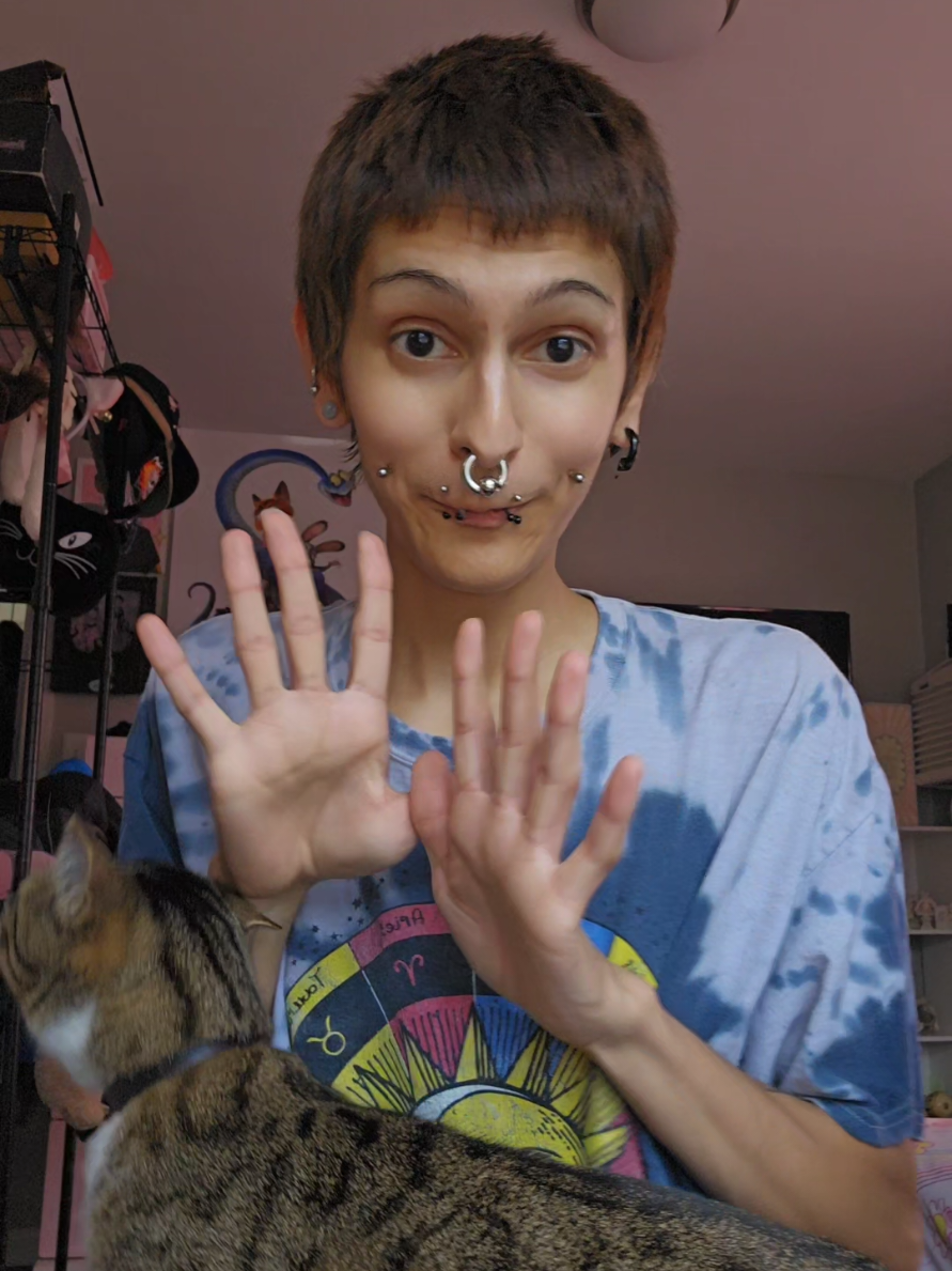 @nicooo