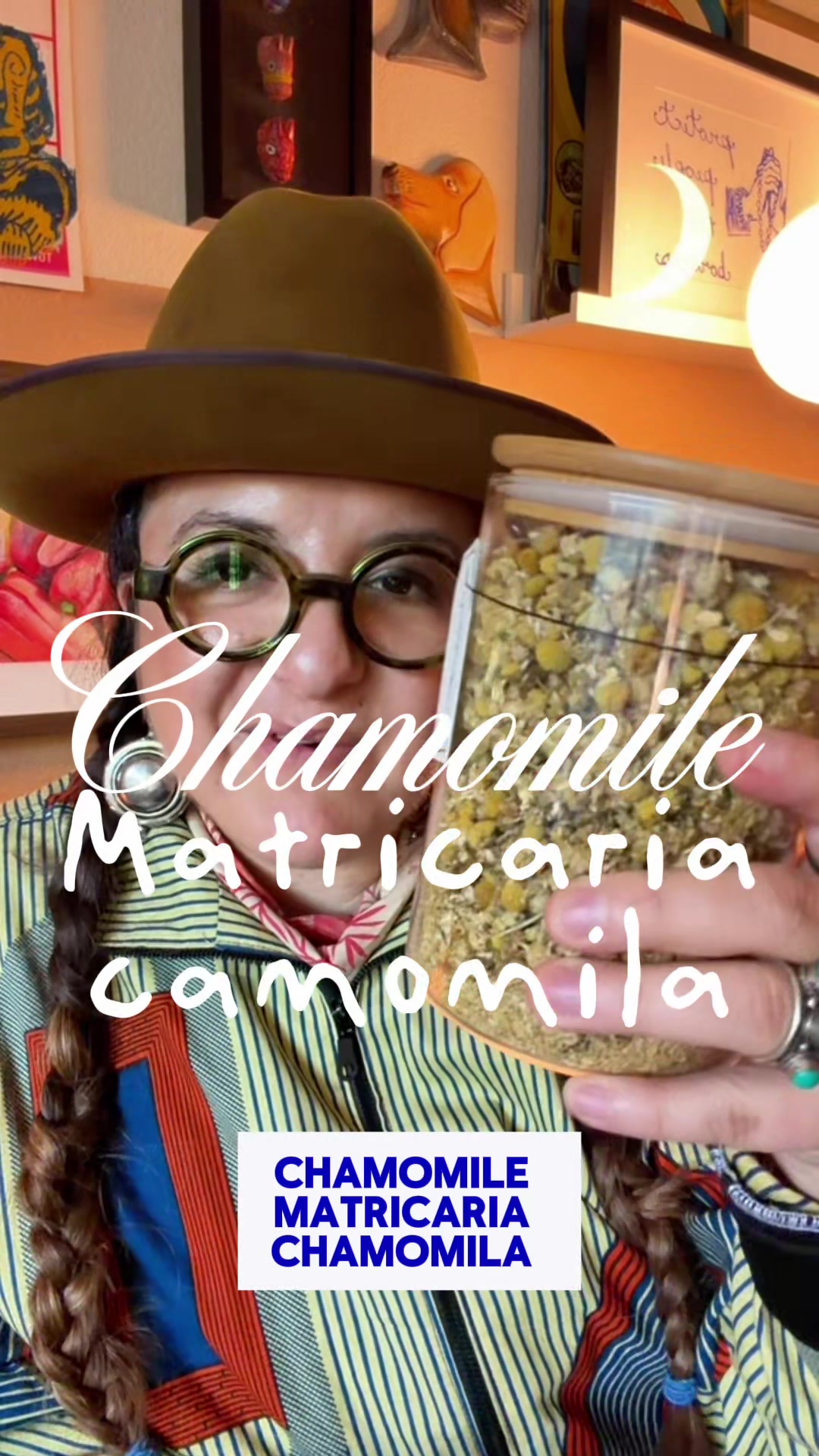 @thepitayacollective