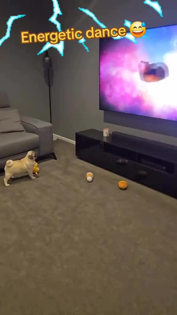 @🤣Vid&eacute;os Dr&ocirc;les.Zzz