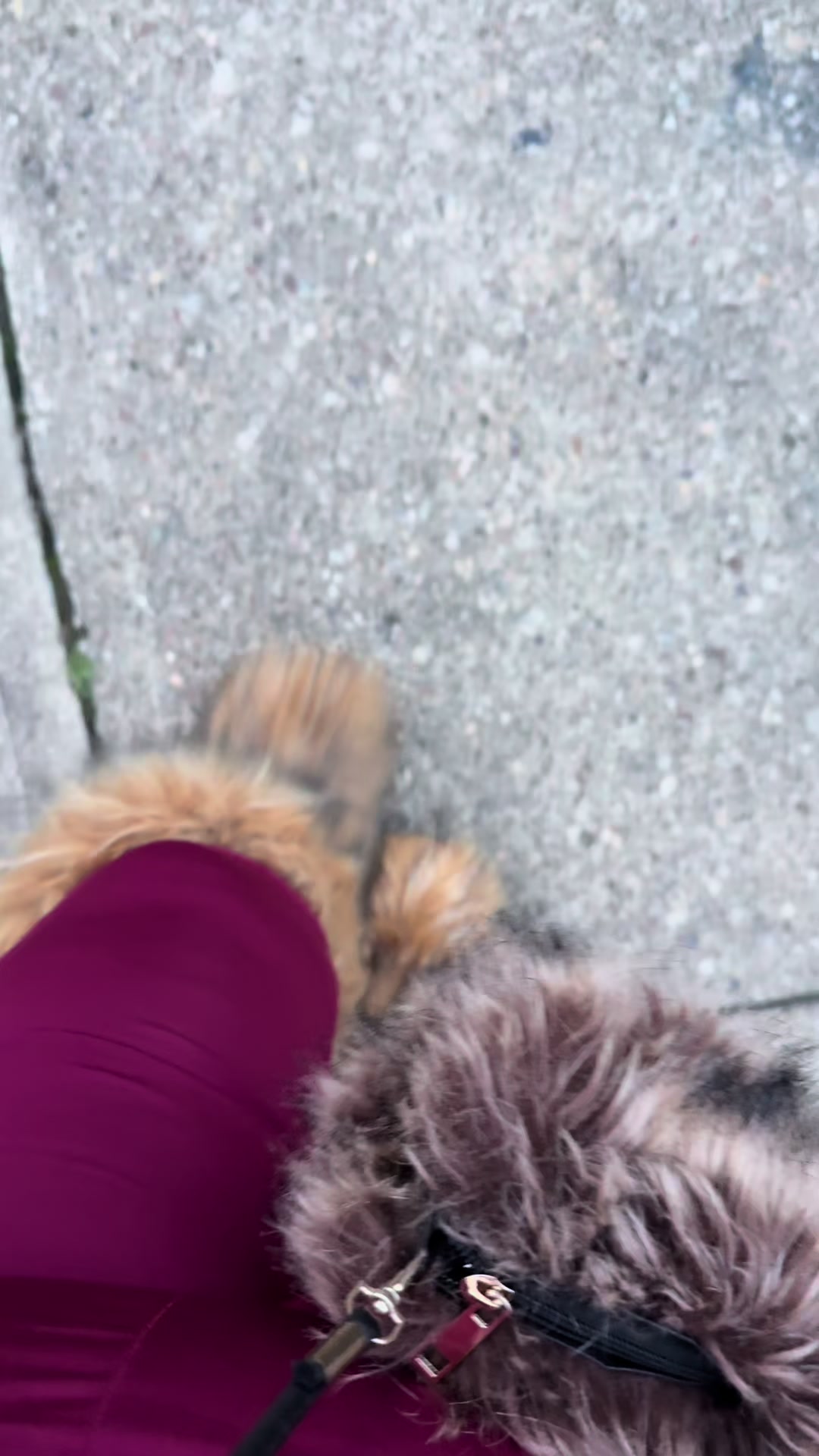 @TamikaL