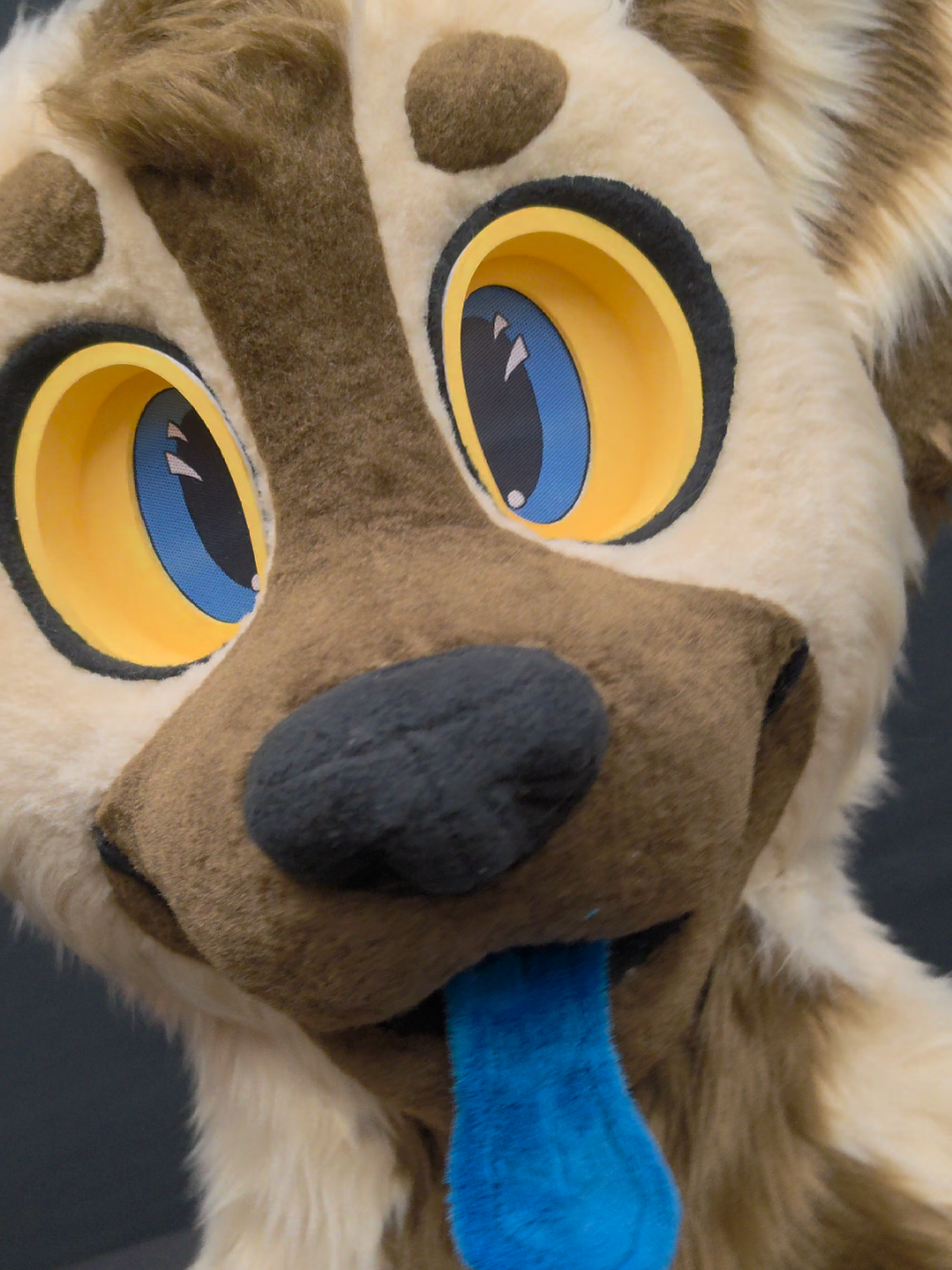 @Furbellion