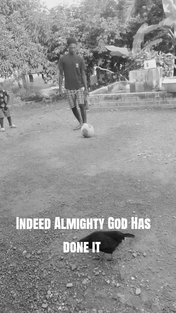 @Dan bee💯🏑
