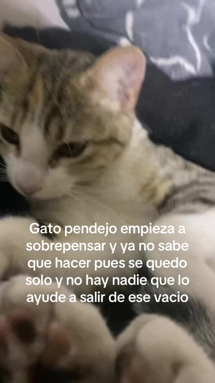 @Proyectadas_Lispk