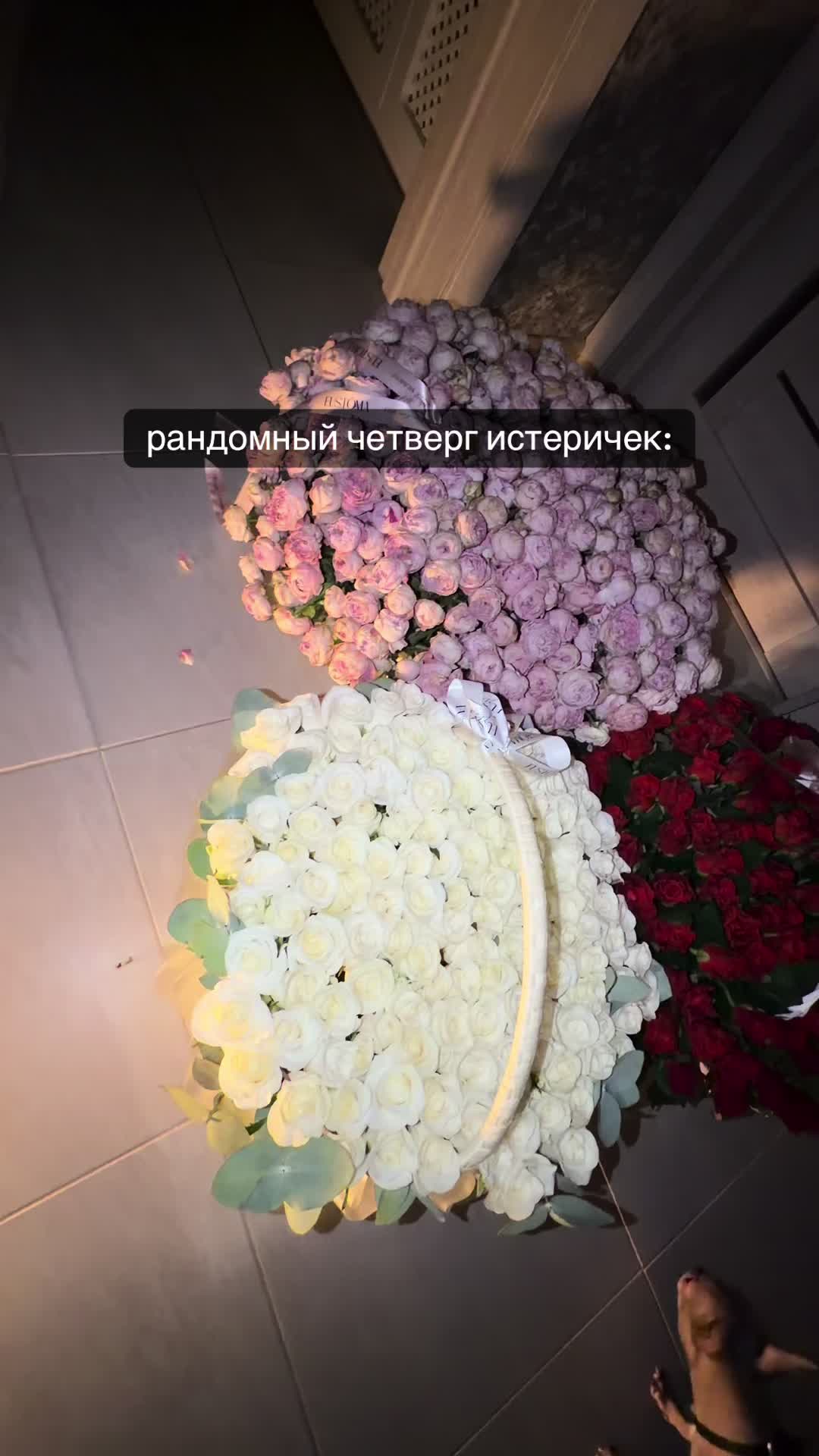 @bil_evelin
