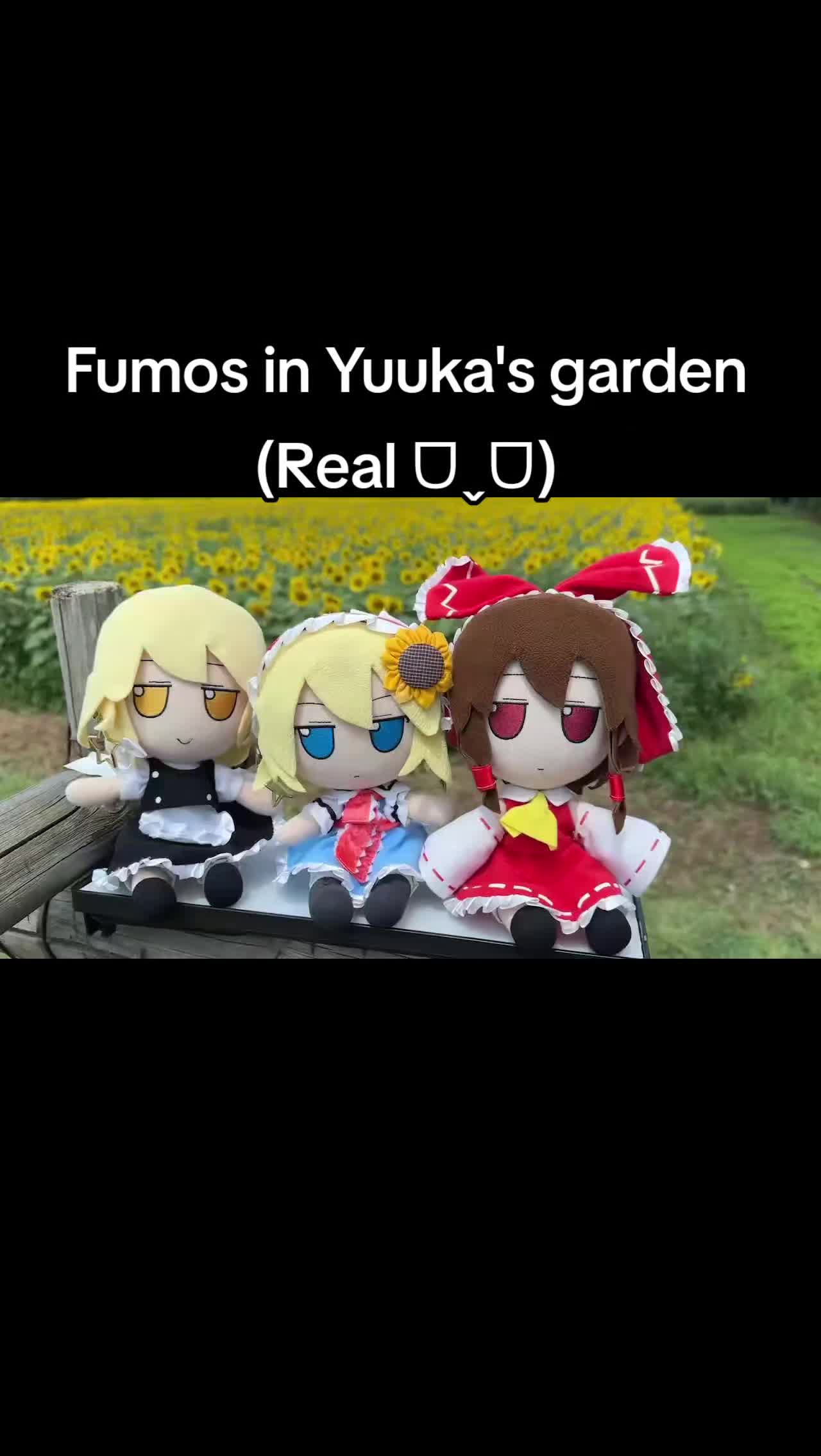 @Pika ᗜˬᗜ
