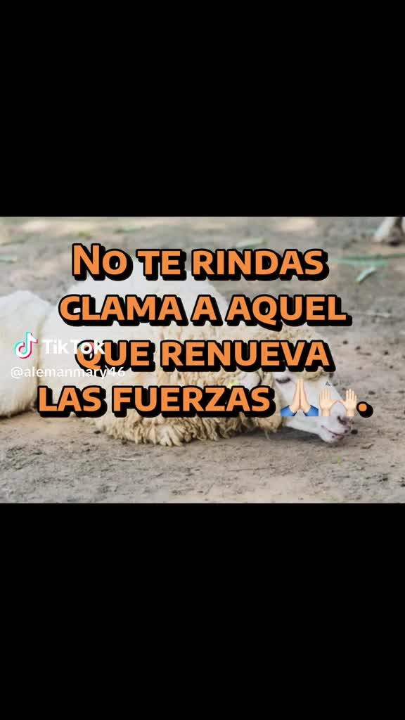 @Maria Hernandez