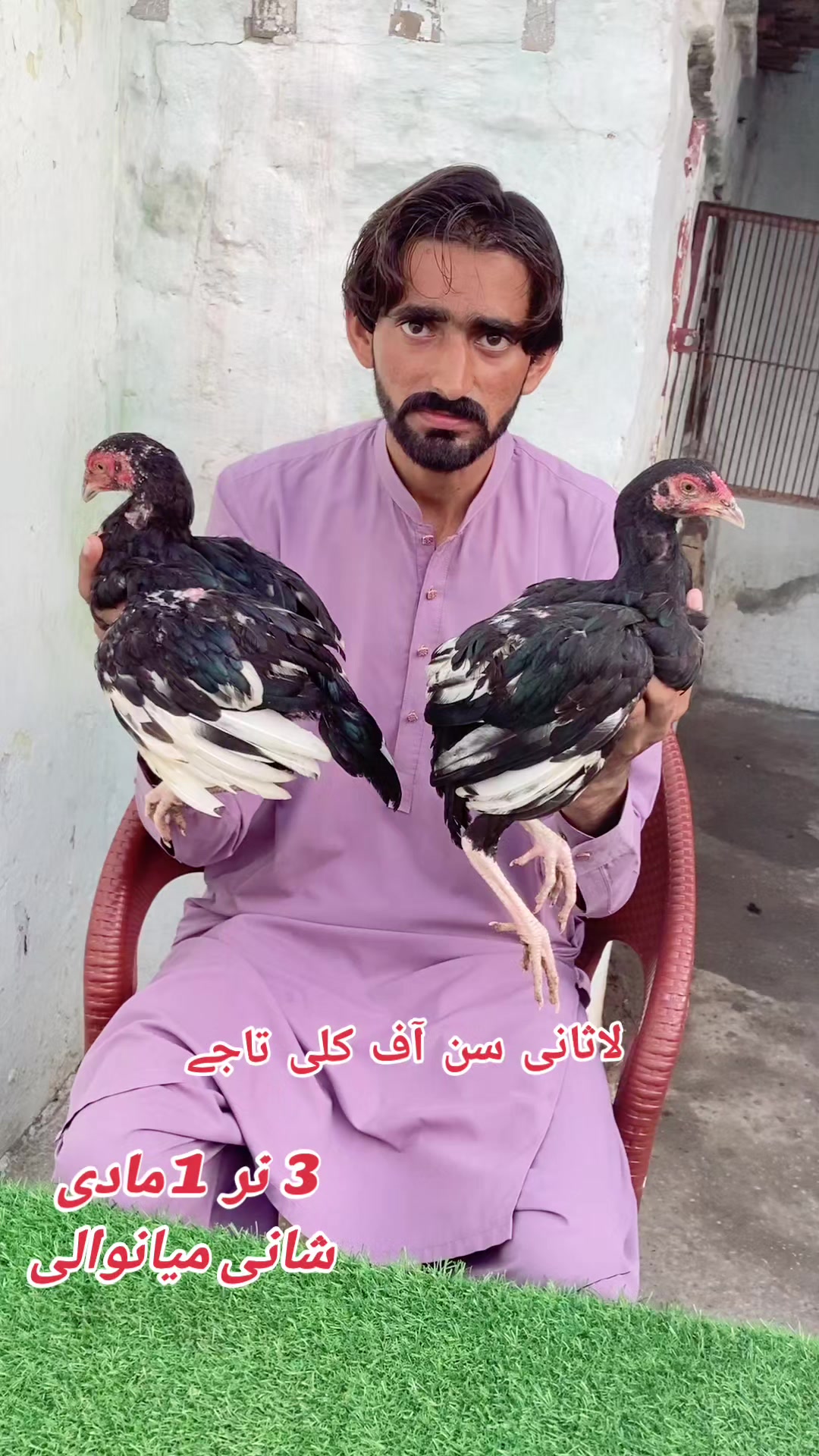@Shani.Mianwali